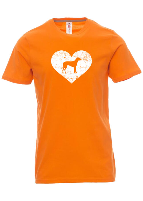Oranje, t-shirtfountain, koningsdag, shirt, oranje shirt, t-shirtdruk