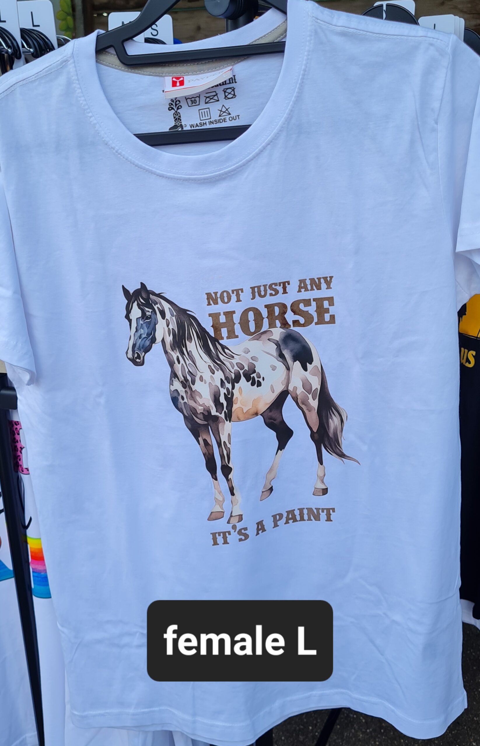Not Just Any Horse A Paint - SALE - female L